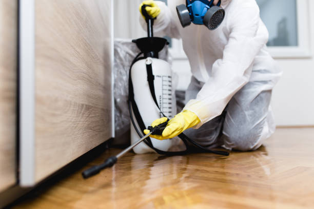 Best Residential Pest Control  in Wellington, UT