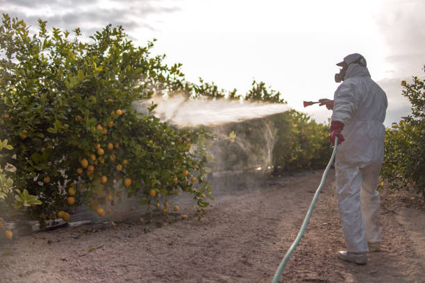 Best Exterminator Services  in Wellington, UT