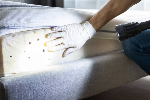 Best Best Pest Control Near Me  in Wellington, UT