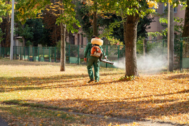 Best Pest Prevention Services  in Wellington, UT