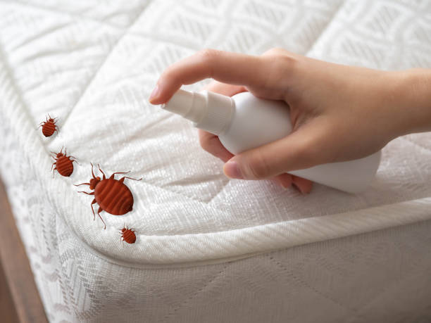 Best Bed Bug Extermination  in Wellington, UT