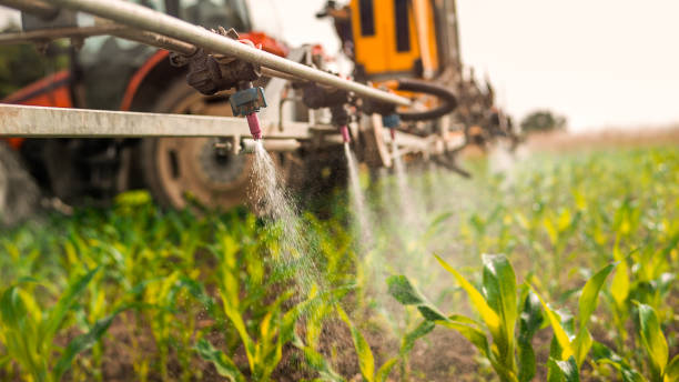 Best Ant Control Services  in Wellington, UT